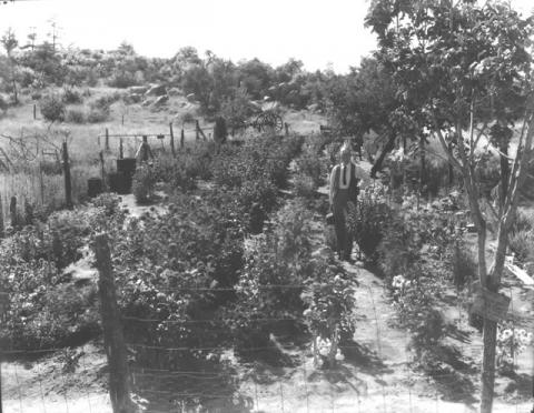 Pioneers Home Circa 1912 (5)