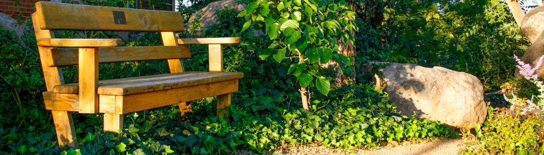 Bench in the Secret Garden