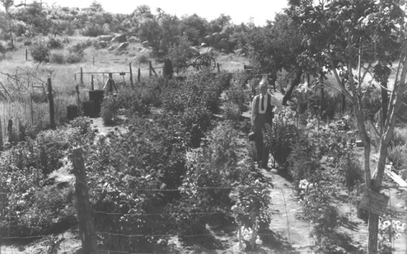 Garden at Pioneers' Home 1940's